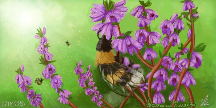 Пчёлка на вереске - Анастасия Белякова