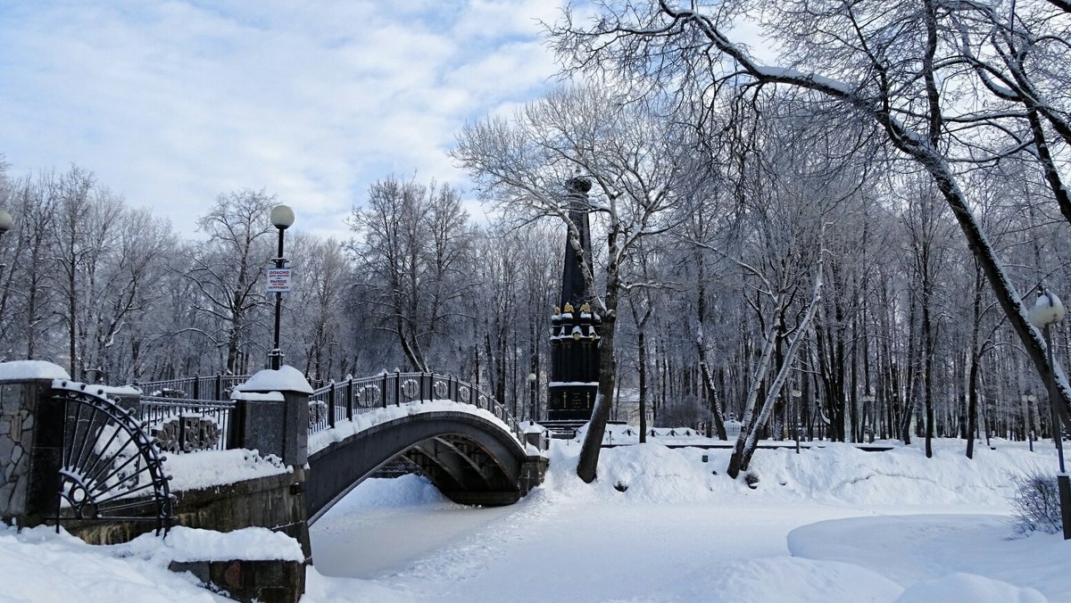 Лопатинский сад Смоленск зимой