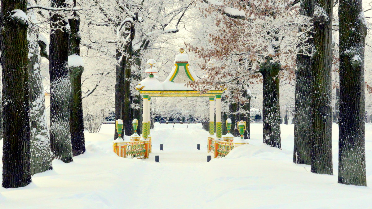 Зимой в Александровском парке  1 - Сергей 