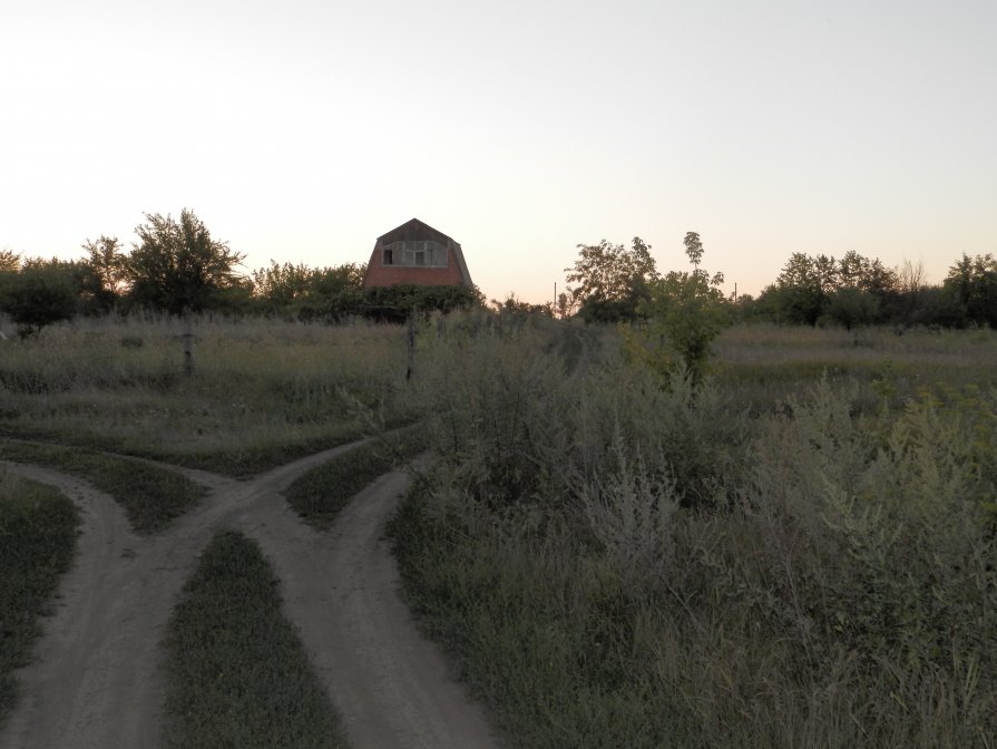 *** - Николай Целицкий