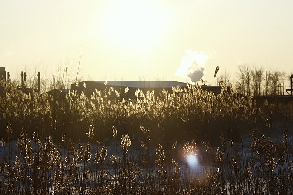 Омск - Маша Шокалюк