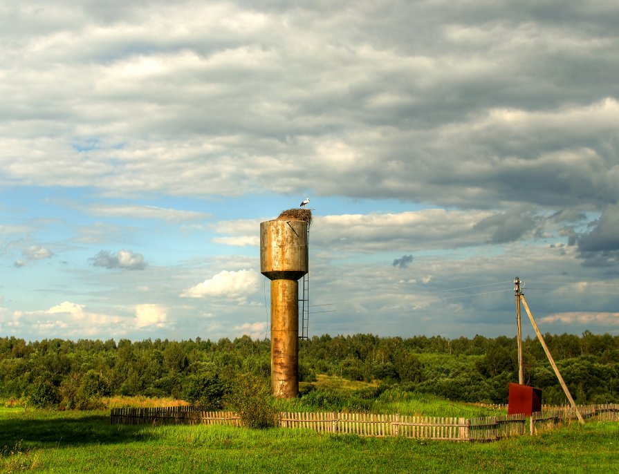 Аист на водонапорной башне. - Andrei Dolzhenko