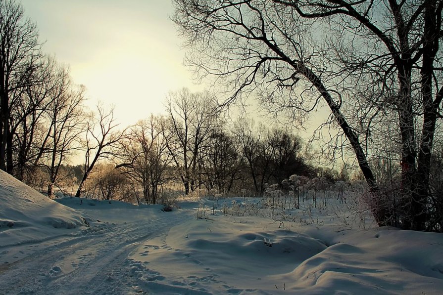 Зима - Александр Лукин