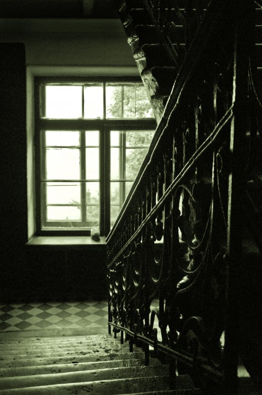 лестница в ужас - Александра Кокоза