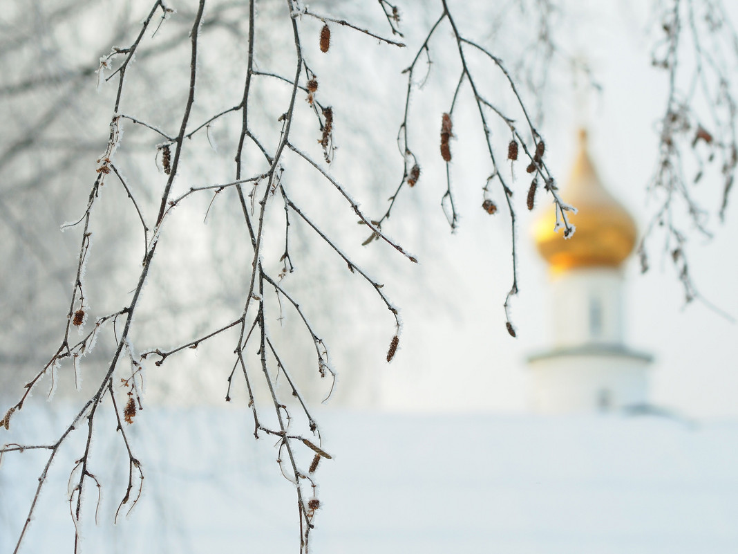 Православная Церковь весной