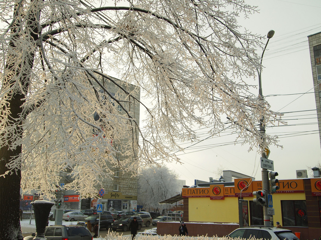 Дерево в белом уборе - Григорий Азатян