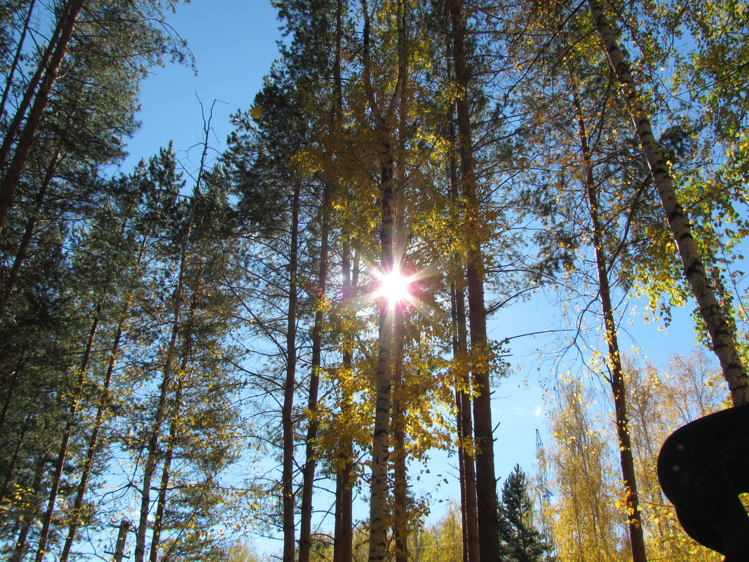 Звезда осени (29.09.2012, Абзаково) - Наталья Кочетова 