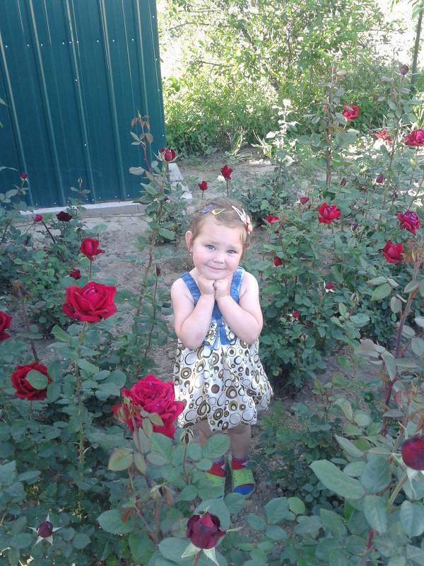 цветок среди цветов - Ольга 