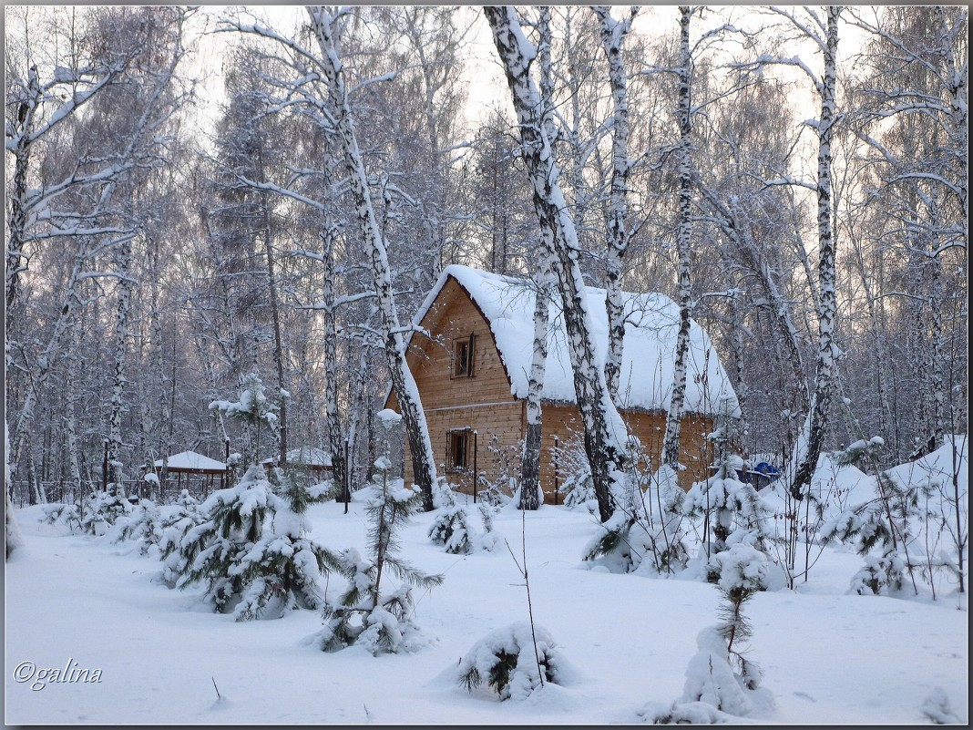 В зимнем парке городском - galina tihonova