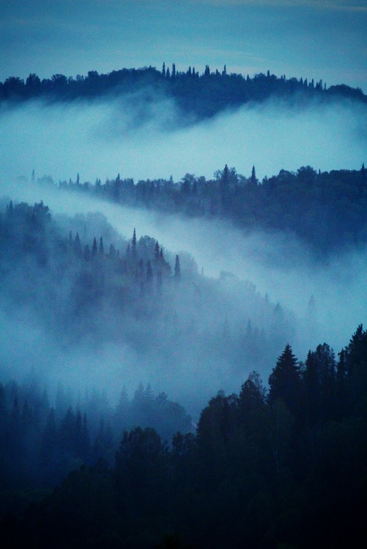 Туман - Ксения Зиборова