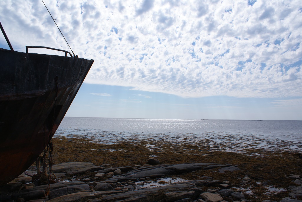 Белое море. Мыс Моржовый - Джастина Голополосова