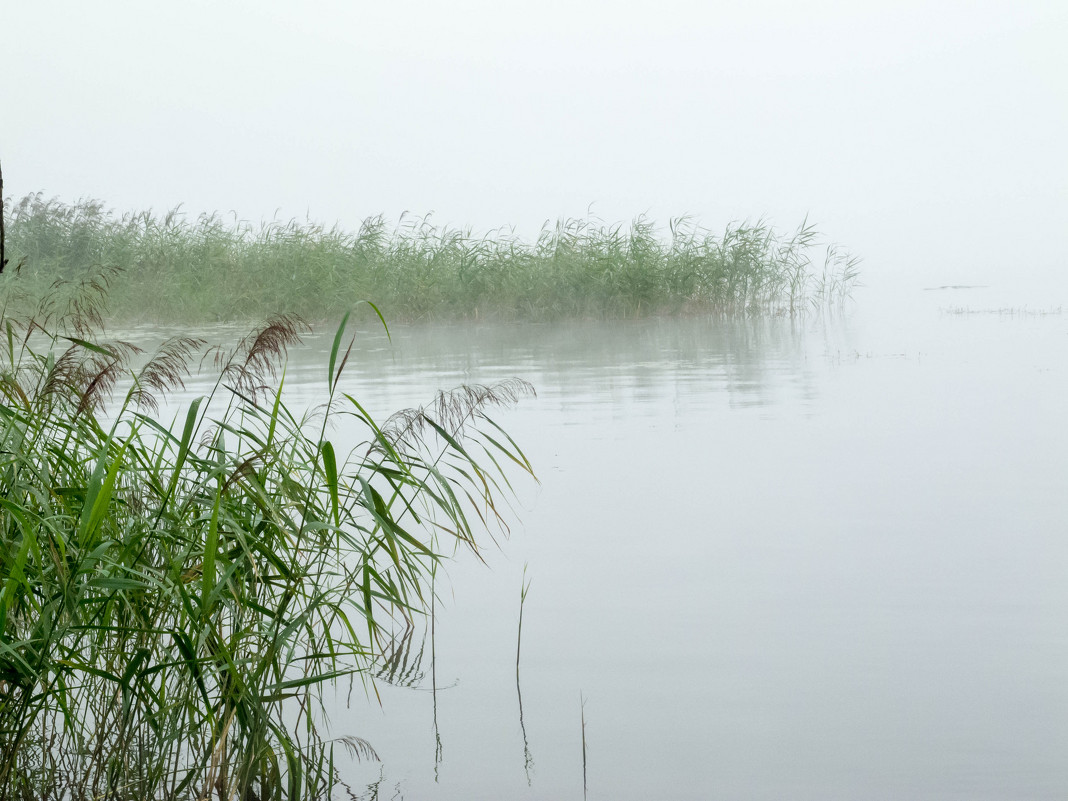 Туман на озере... - Дмитрий Янтарев