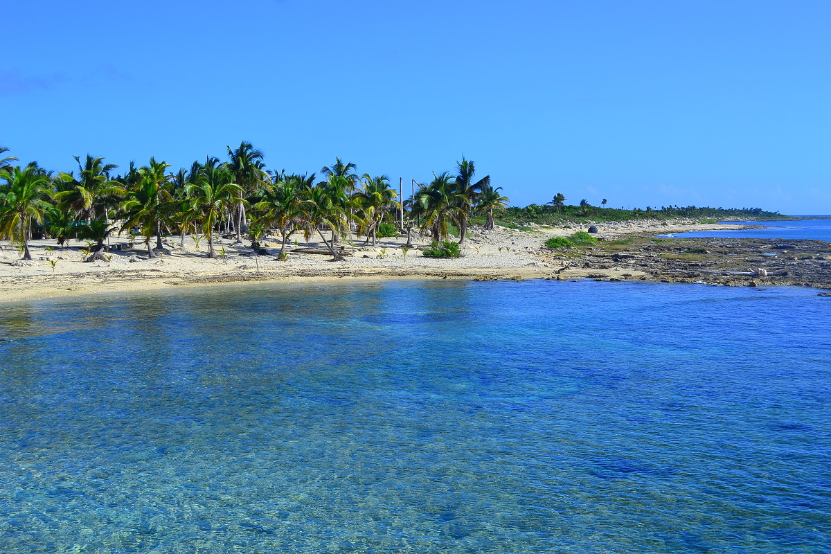 пальмовый пляж,коста-майя,мексика - евгений вотерс