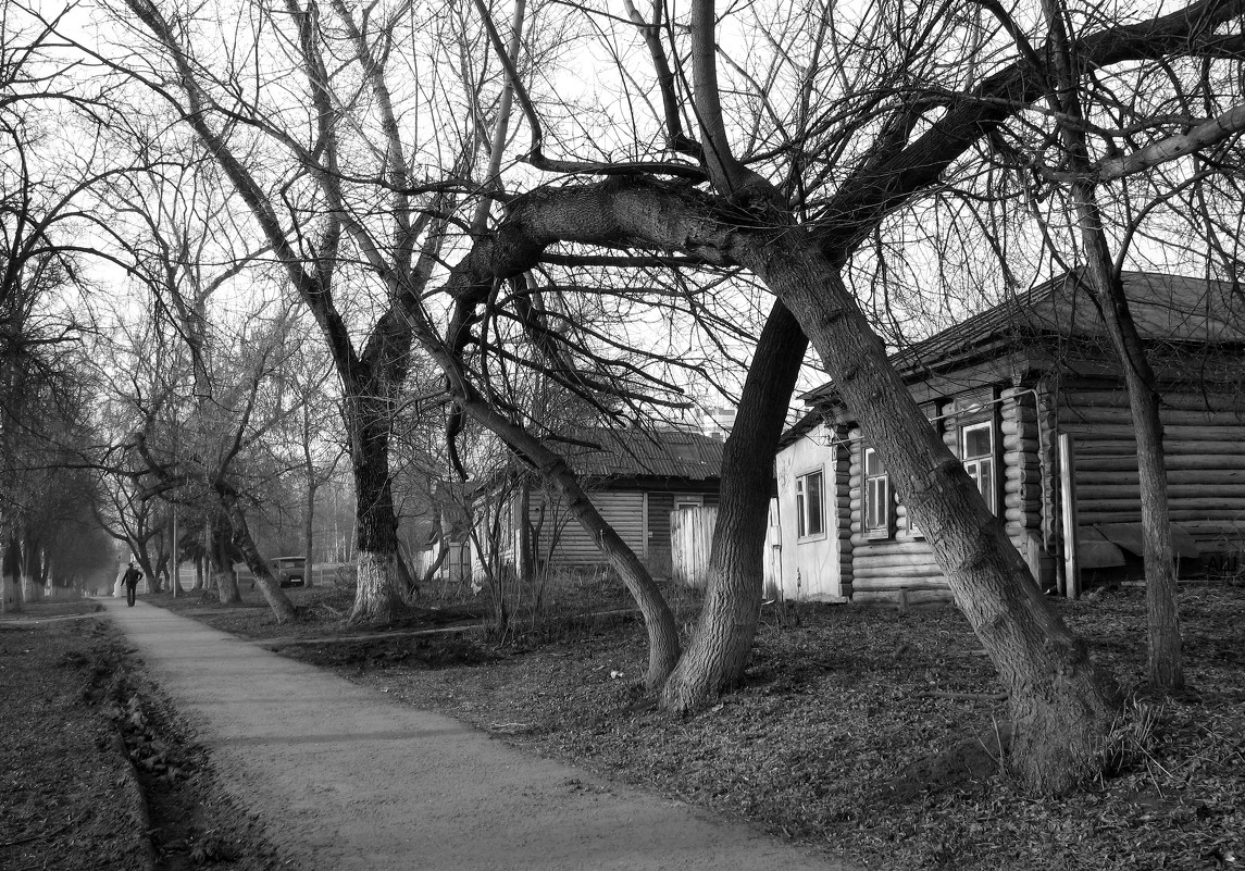 ул. Московская, Саранск :: Alexandr Shemetov – Социальная сеть ФотоКто