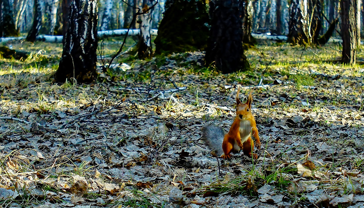 Фотосессия - Сергей Царёв