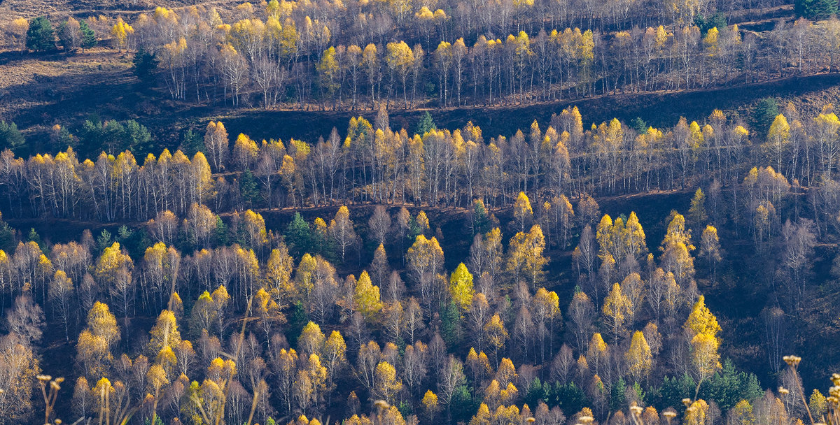 Кавказская осень - Ирина Шарапова