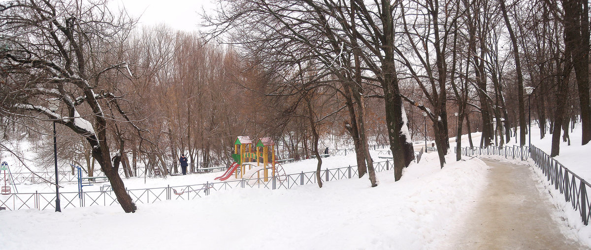 зима в парке - георгий  петькун 