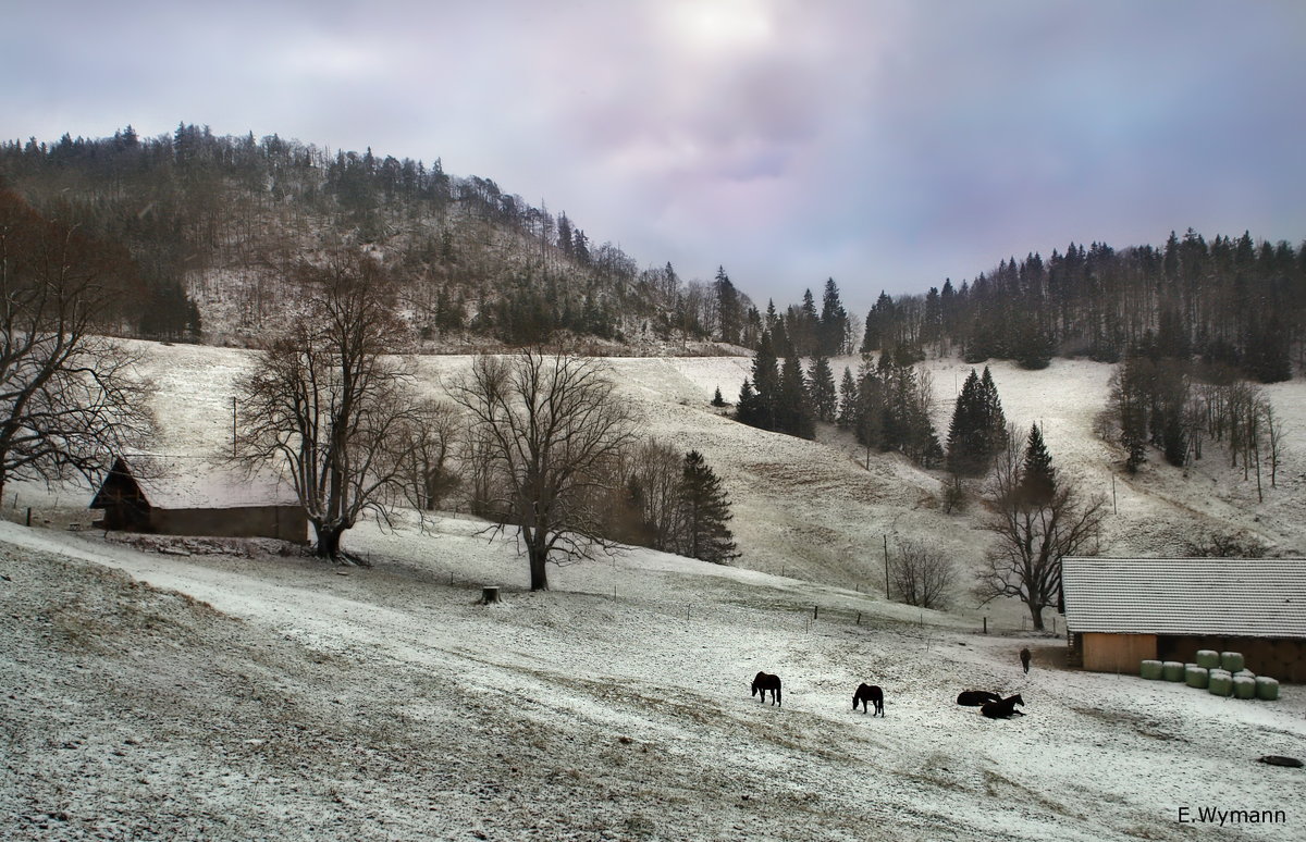 Зима в Юрских горах - Elena Wymann