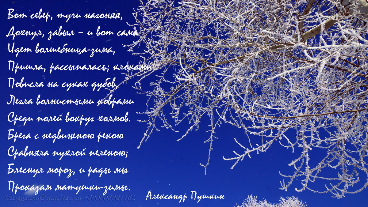 Волшебница зима - Роман Кривеженко