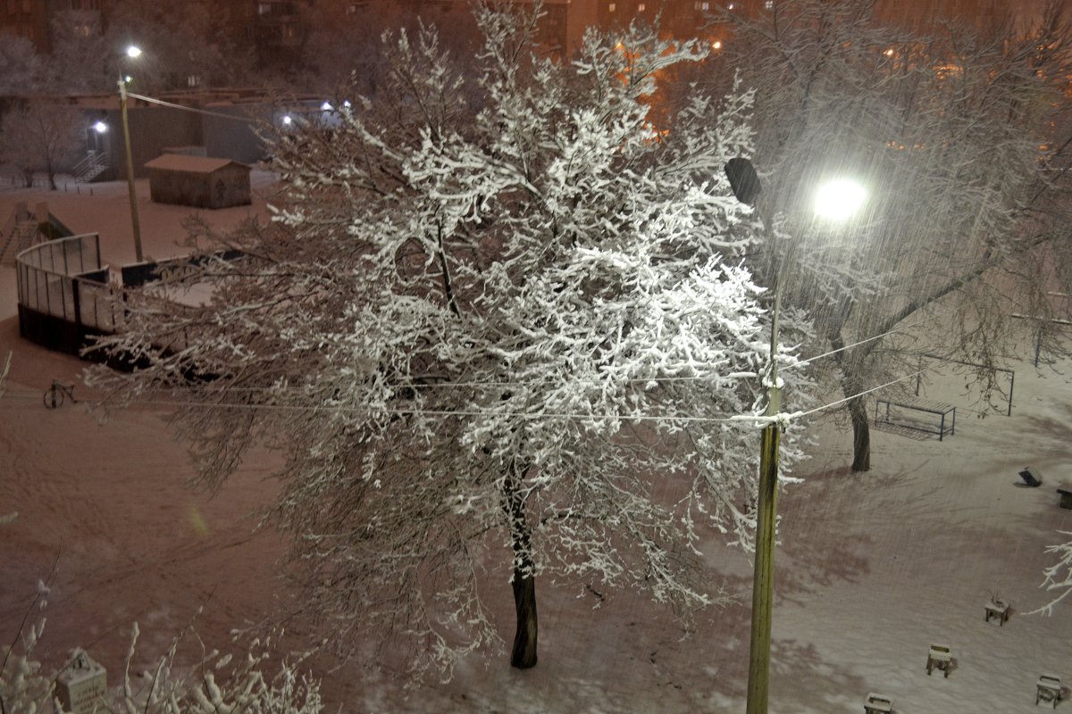 Ночной  снегопад - Владимир Рыбак