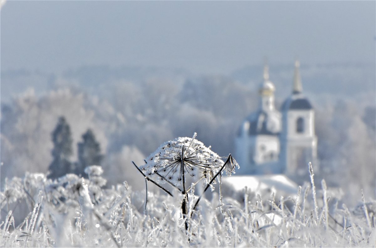 Зимний пейзаж - Oleg S 