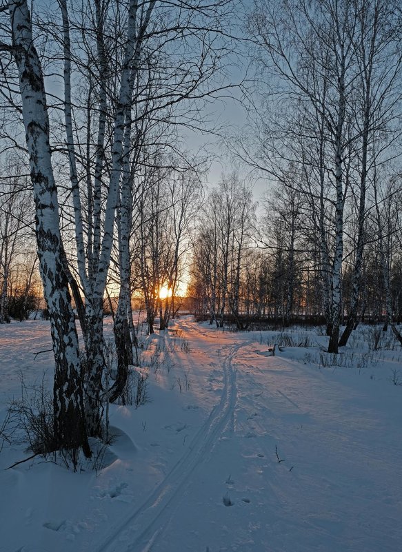 Вечерняя прогулка - Алексей Мезенцев