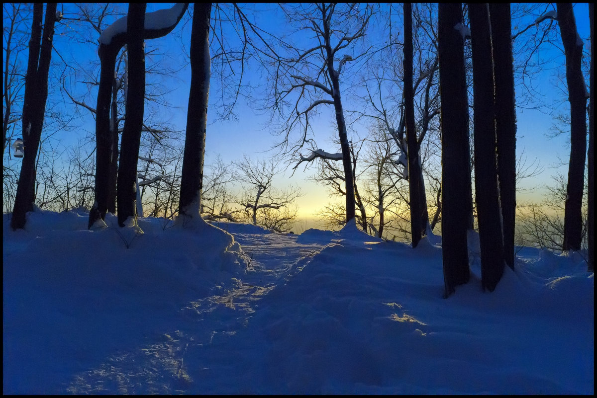 Рассвет в зимнем лесу - Алексей Патлах