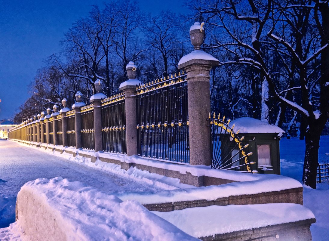 Зимняя решётка Летнего сада - Елена 