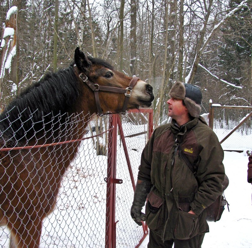 Музей природы и соколиной охоты - Евгений Кочуров