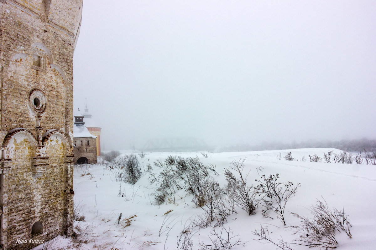 Туман у монастырских стен - Нина Кутина