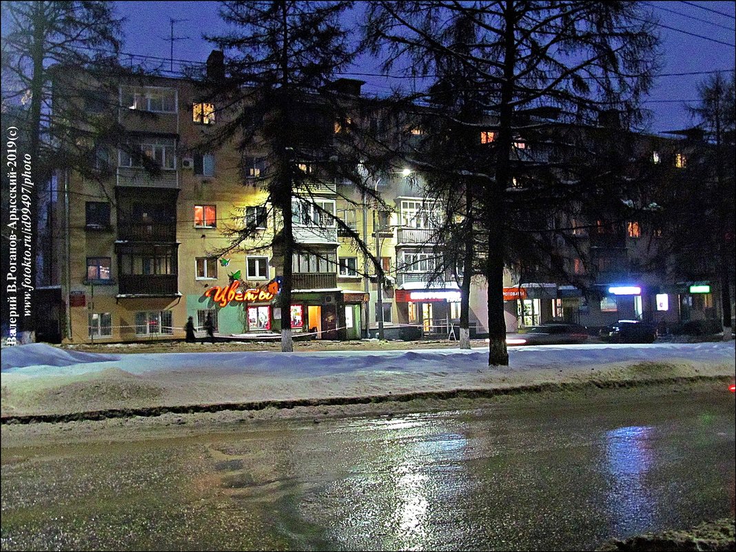 ВЛАДИМИР ПРОВИНЦИАЛЬНЫЙ - Валерий Викторович РОГАНОВ-АРЫССКИЙ