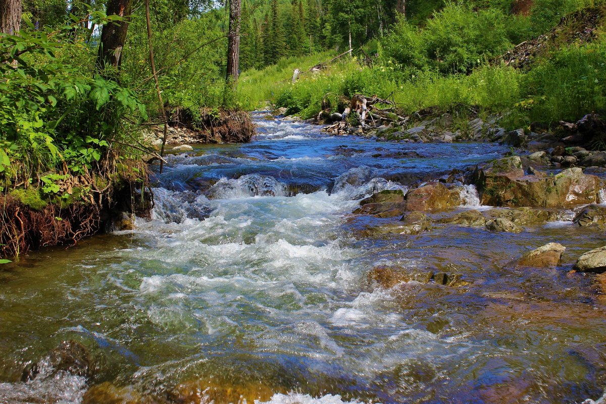 фото реки маленькой