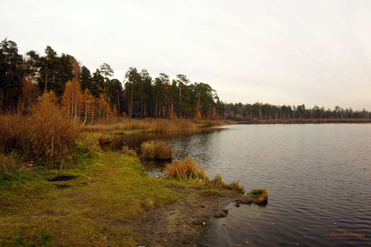 Осень на озере - Анна Суханова