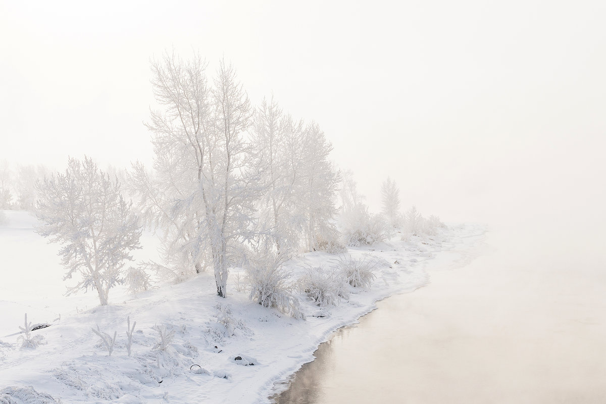 Tatyshev park, Russia, Siberia, Krasnoyarsk. - Igor Novikov