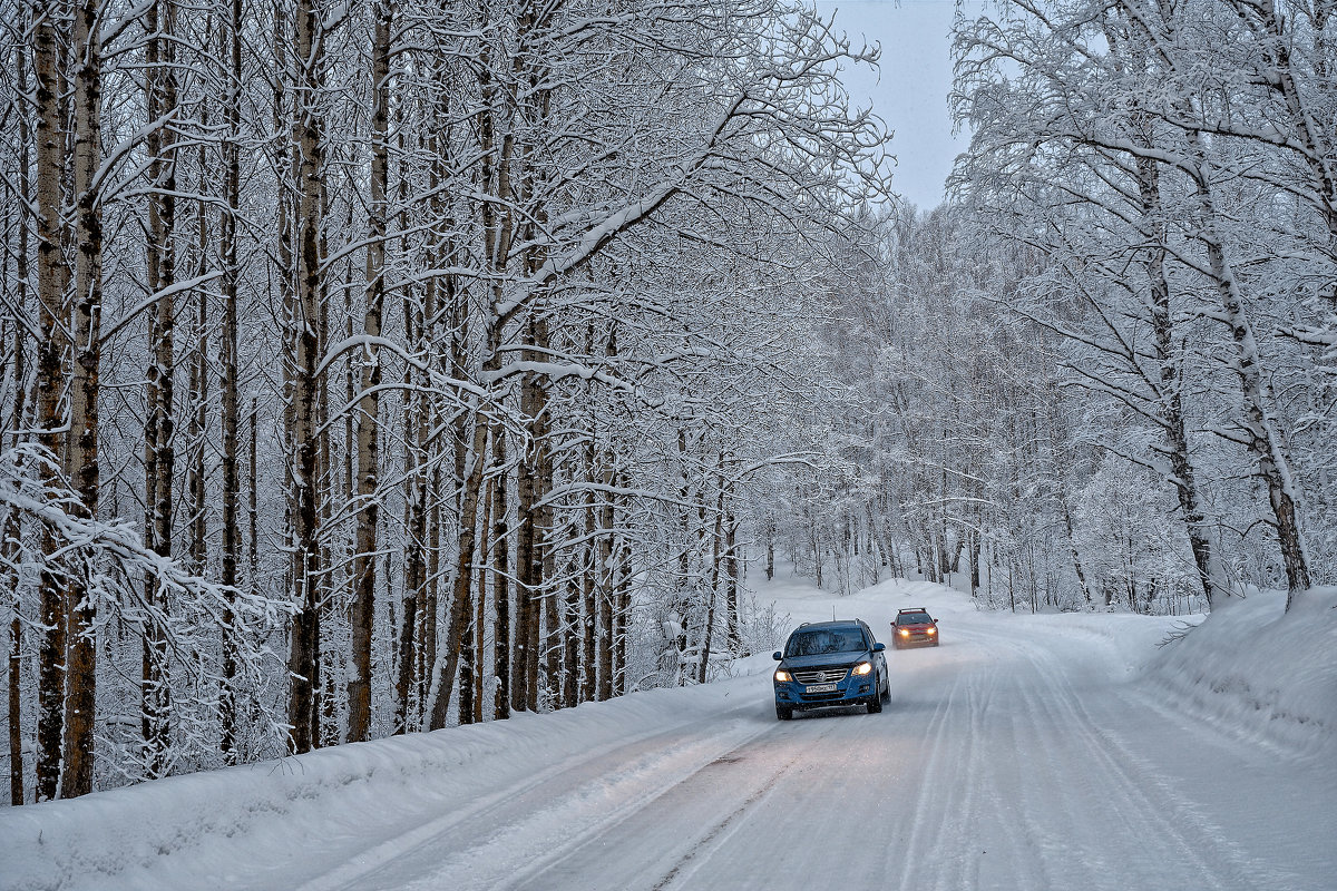 Зима лес дорога машина