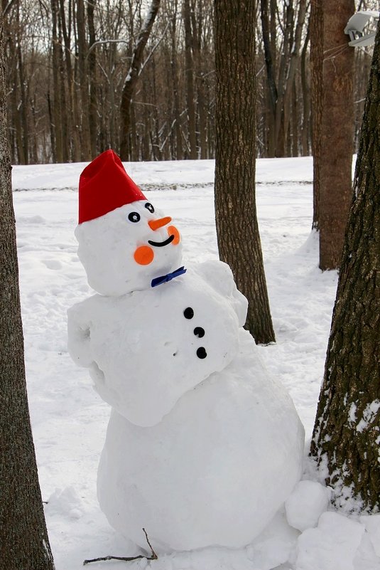 Снеговик с артистической натурой - Надежд@ Шавенкова
