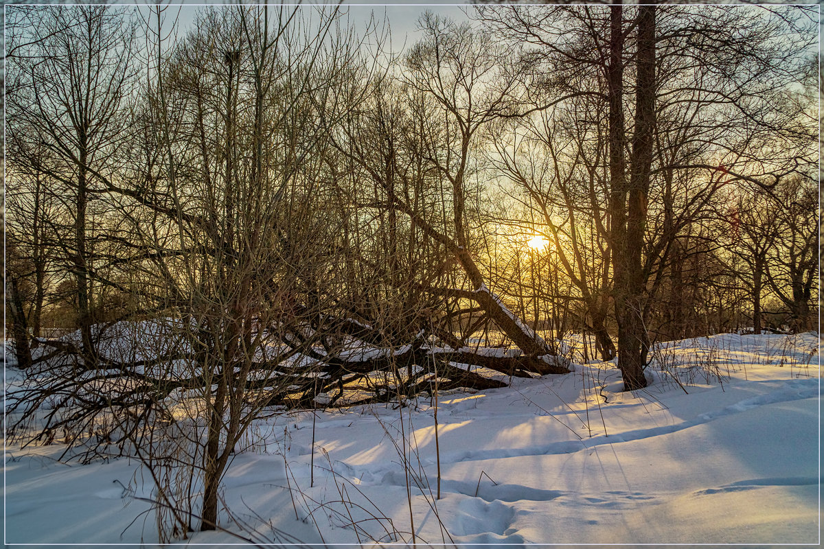 Зимний пейзаж - Андрей Дворников