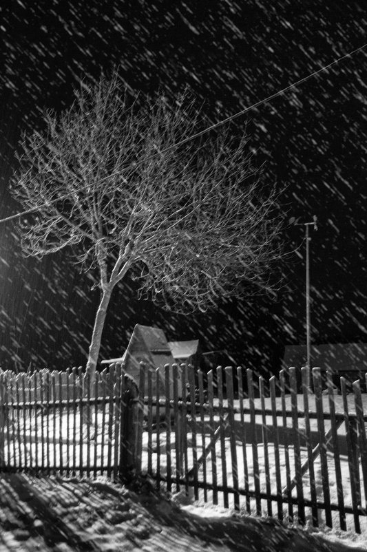 вечерний снегопад - Виталий Исаев