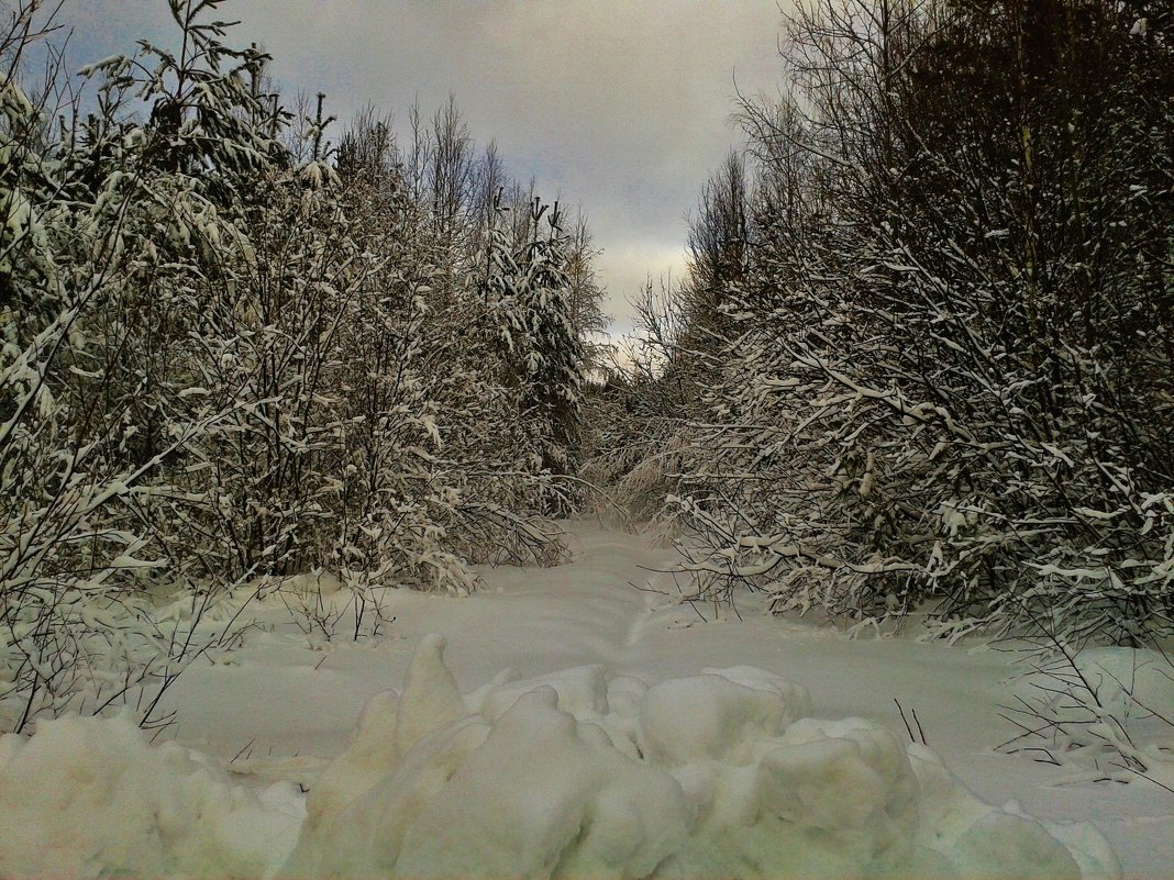 засыпало снегом - Владимир 