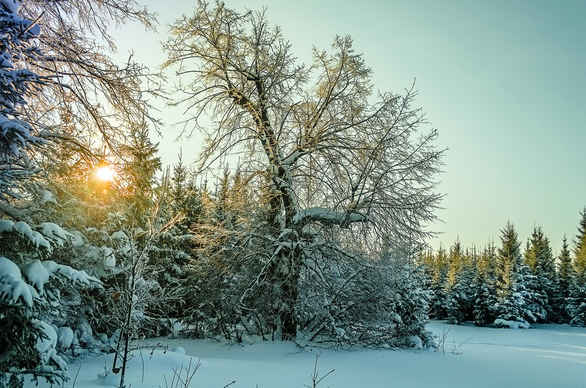 Закат зимой - Андрей Щетинин