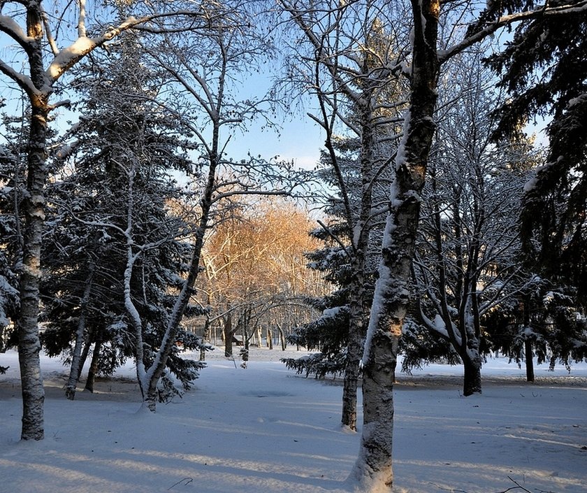 первый снег - Лариса Крышталь 