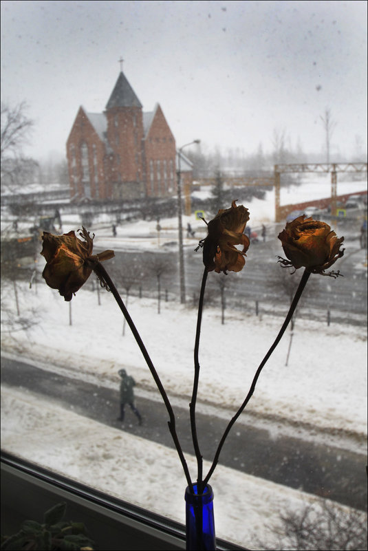 Цветы на снегу - galina bronnikova 