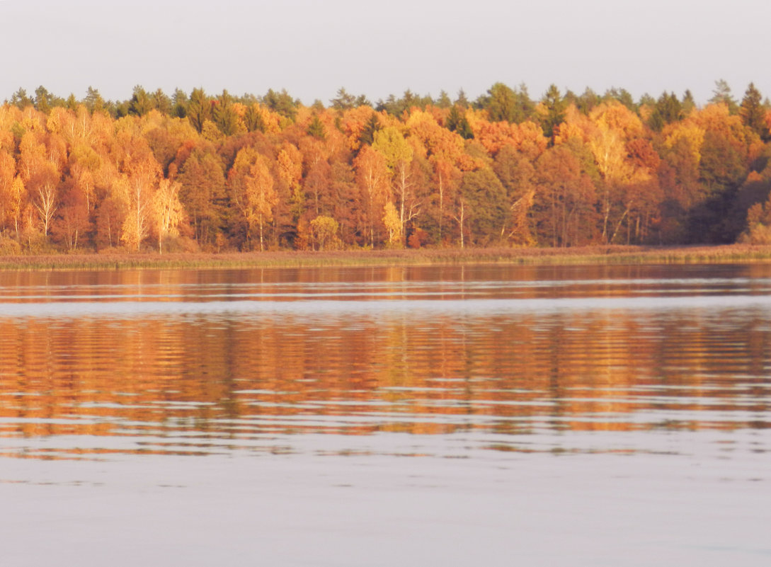 Ещё раз озеро и золотая осень - Анатолий Кувшинов