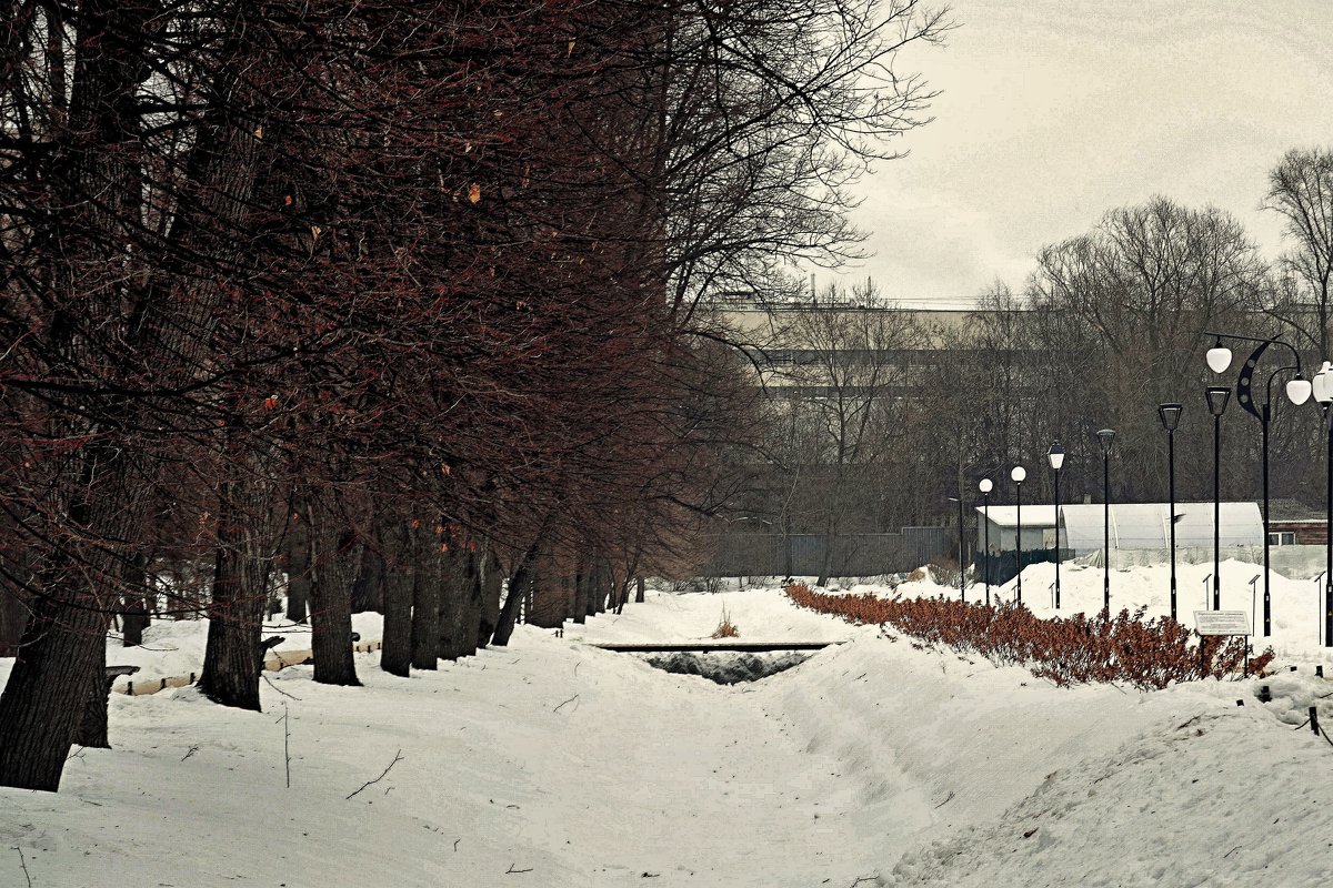 Февраль в Аптекарском огороде. - Татьяна Помогалова