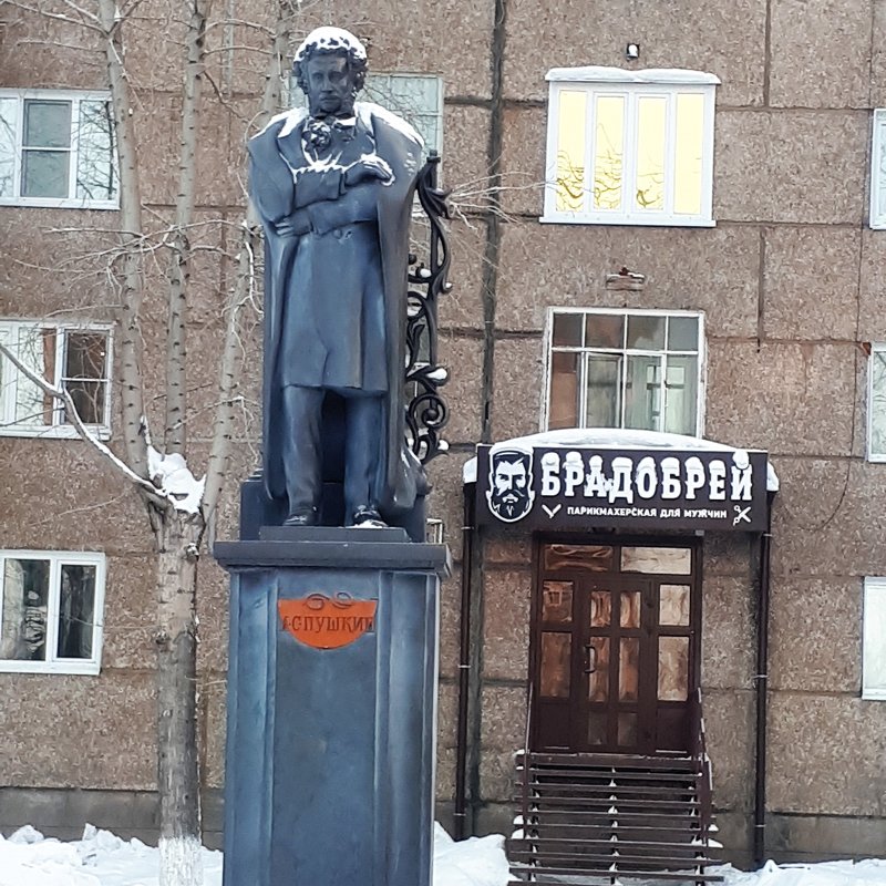 Замерз Пушкин...в Братске -43! - Наталья Тимофеева