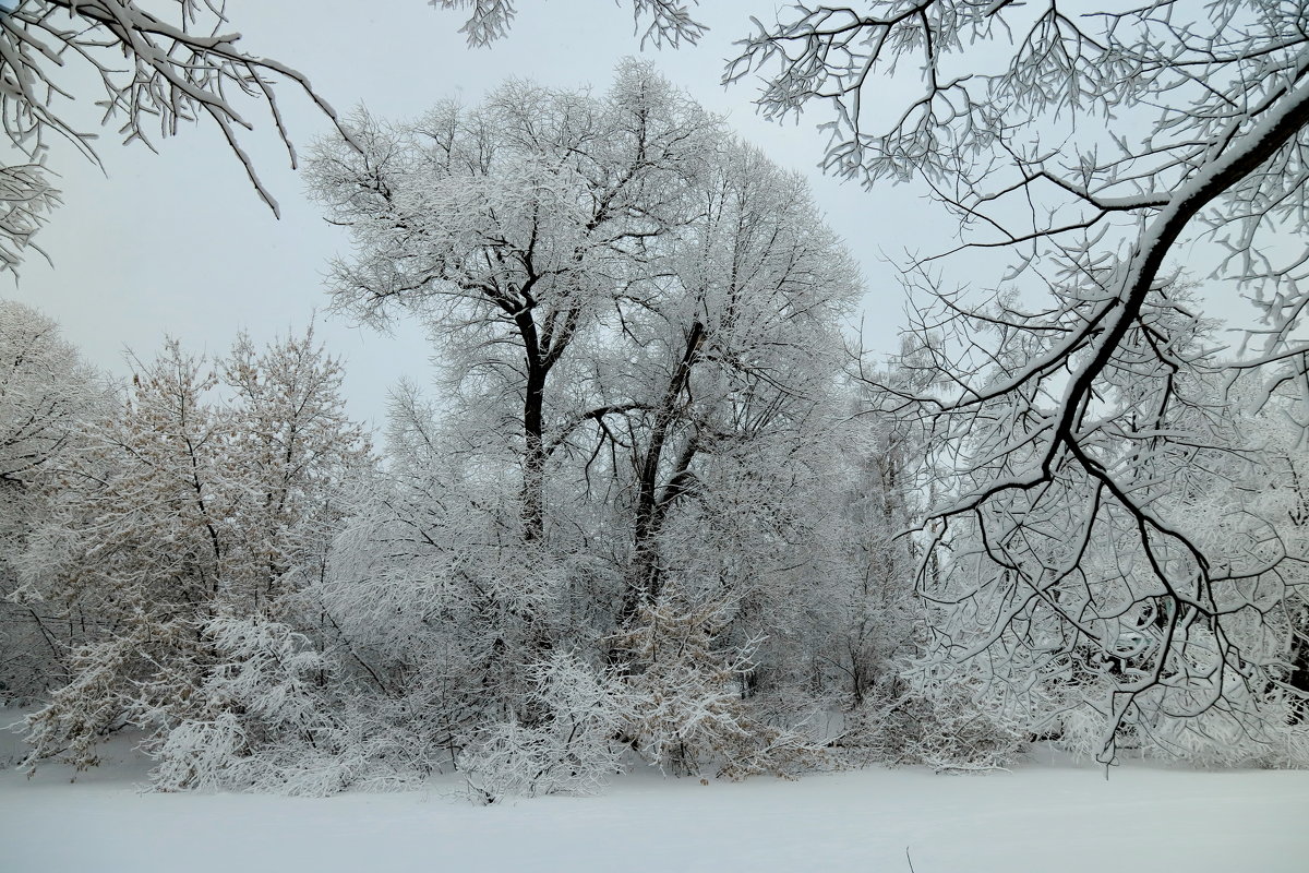 Снегопад в феврале - Светлана 