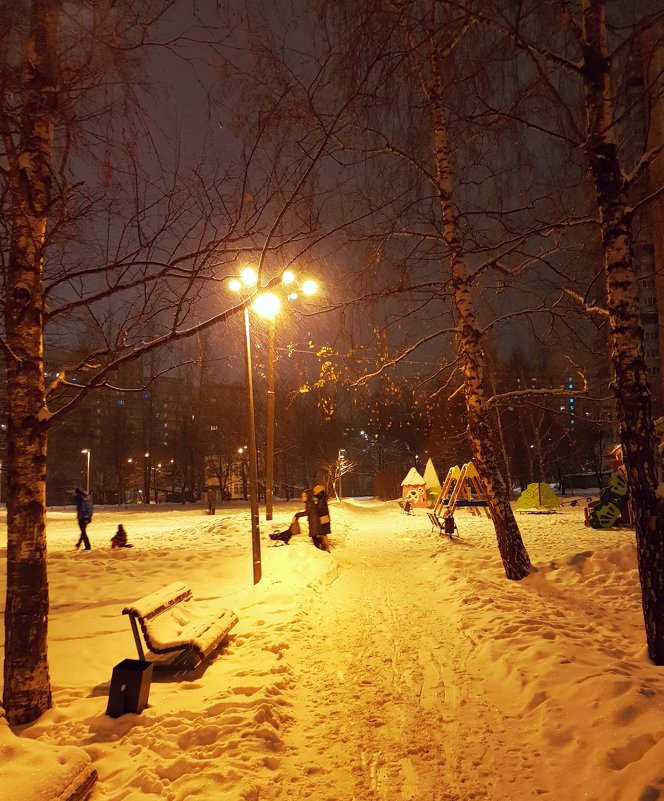 Зимний вечер в Чертанове - Генрих 