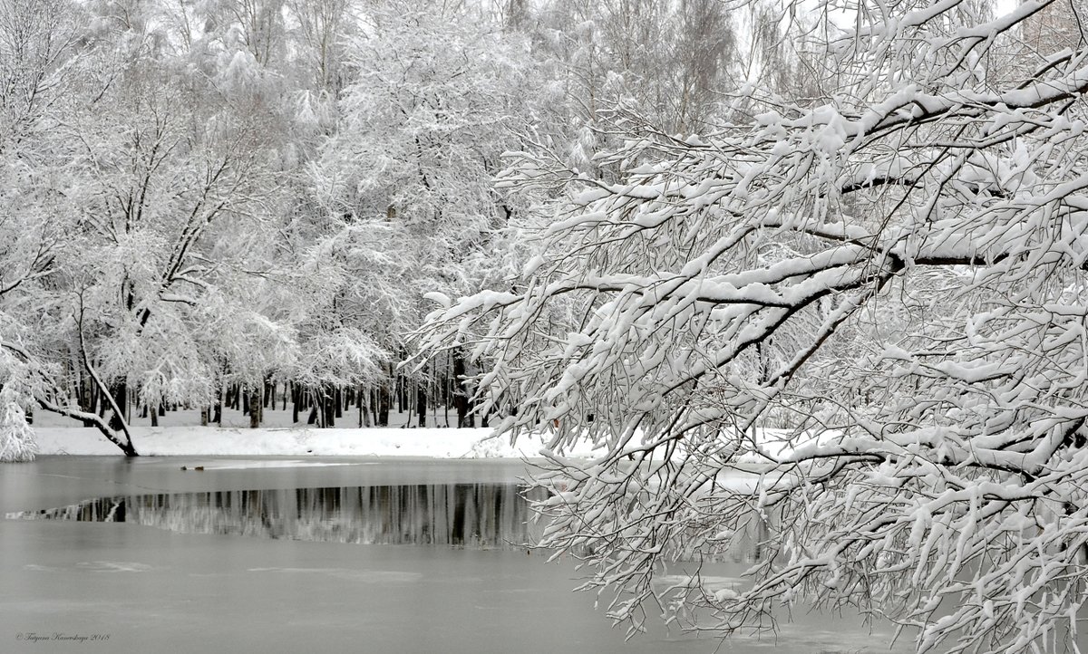 Очарование снежной зимы - Татьяна Каневская