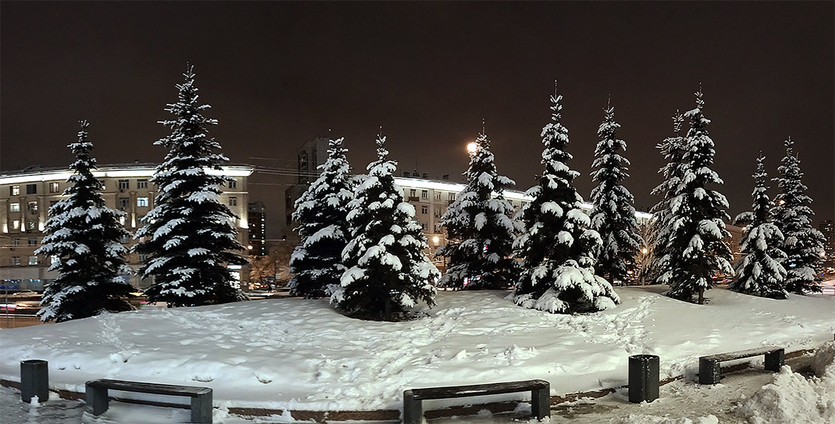 Ели у Метрополиса после снегопада - Андрей Мелехов 
