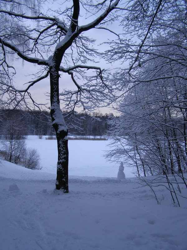 Зимний закат на Лебедянском пруду - Анна Воробьева